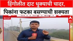Weather Update: हिंगोलीत दिवाळीत दाट धुकं, 'आरोग्याला लाभ पण पिकांना फटका', शेतकऱ्यांची चिंता वाढली