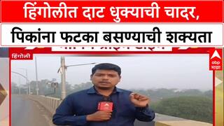 Weather Update: हिंगोलीत दिवाळीत दाट धुकं, 'आरोग्याला लाभ पण पिकांना फटका', शेतकऱ्यांची चिंता वाढली