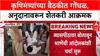 Dattatray Bharne Sabha Controverys :  'आम्हाला अनुदान मिळालं नाही!' कृषिमंत्री Dattatray Bharane यांच्या बैठकीत शेतकरी आक्रमक