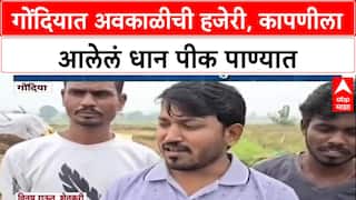 Farmer Distress: 'तोंडातला घास निसर्गाने हिरावला', Gondia तील अवकाळी पावसाने नुकसान