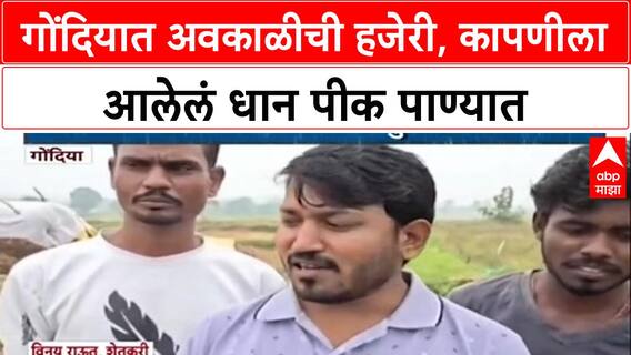 Farmer Distress: 'तोंडातला घास निसर्गाने हिरावला', Gondia तील अवकाळी पावसाने नुकसान