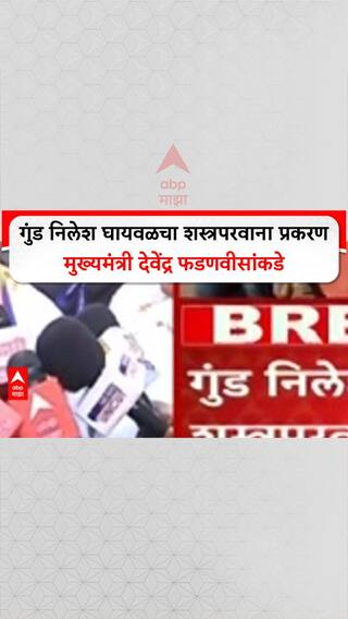 Ajit Pawar on Nilesh Ghaywal : गुंड निलेश घायवळचा शस्त्रपरवाना प्रकरण मुख्यमंत्री देवेंद्र फडणवीसांकडे