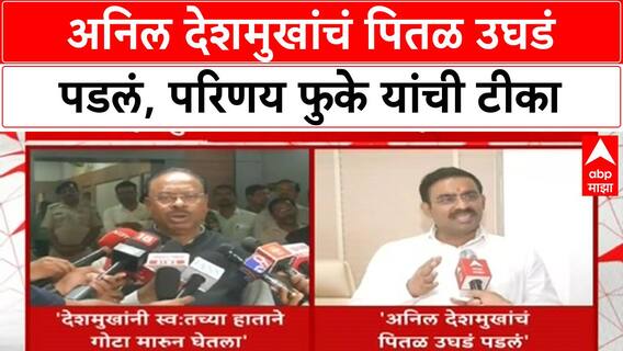 Anil Deshmukh Attack | अनिल देशमुखांचं पितळ उघडं पडलं, परिणय फुके यांची टीका