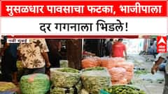 Vegetable Prices: मुसळधार पावसाने 'Vegetable' उत्पादन घटले, 'Vashi APMC' मध्ये पुरवठा निम्म्यावर
