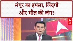 Viral Video: दुमका में लंगूर का 'आतंक'!, Biker की जान लेने पर तुला