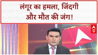 Viral Video: दुमका में लंगूर का 'आतंक'!, Biker की जान लेने पर तुला