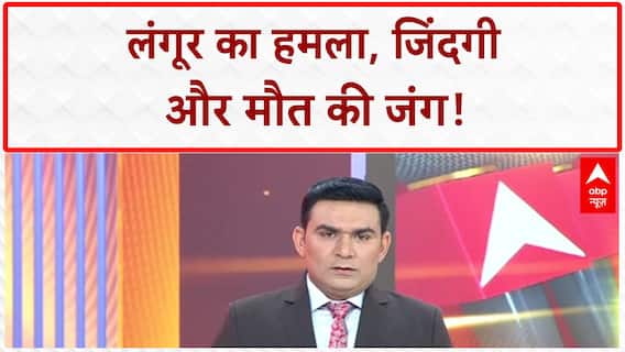 Viral Video: दुमका में लंगूर का 'आतंक'!, Biker की जान लेने पर तुला