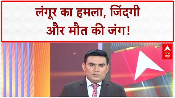Viral Video: दुमका में लंगूर का 'आतंक'!, Biker की जान लेने पर तुला