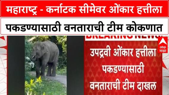 Omkar Elephant : महाराष्ट्र - कर्नाटक सीमेवर ओंकार हत्तीला पकडण्यासाठी वनताराची टीम कोकणात