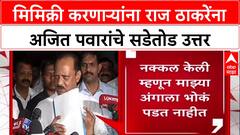 Pawar vs Thackeray: 'माझ्या अंगावर भोकं पडत नाहीत', Raj Thackeray यांच्या मिमिक्रीवर Ajit Pawar यांचा टोला