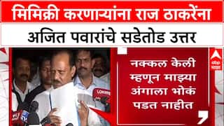 Pawar vs Thackeray: 'माझ्या अंगावर भोकं पडत नाहीत', Raj Thackeray यांच्या मिमिक्रीवर Ajit Pawar यांचा टोला