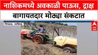 Unseasonal Rain 'फवारणीचा खर्चही परवडेना', Nashik मधील द्राक्ष उत्पादक चिंतेत, पिकांचं अतोनात नुकसान