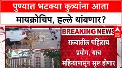 Stray Dog Menace: 'आता थेट मायक्रोचिप!', Pune महापालिकेचा मोठा निर्णय, अडीच लाख कुत्र्यांवर नजर