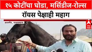 Pushkar Fair 2025: '१५ कोटी किंमत, ९ कोटींची ऑफर', Shahbaz घोड्यासमोर Mercedes, Rolls Royce फिक्या