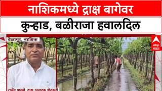 Nashik Farmer : नाशिकमध्ये द्राक्ष बागेवर कुऱ्हाड, बळीराजा हवालदिल