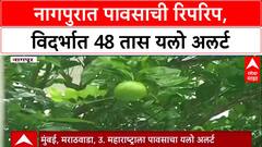 Weather Update: नागपूरसह विदर्भात 'Yellow Alert' जारी, परतीचा पाऊस पुढील 48 तास सक्रिय राहणार