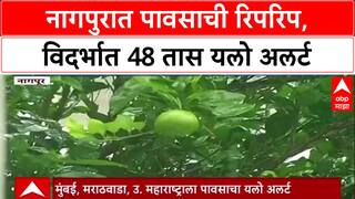 Weather Update: नागपूरसह विदर्भात 'Yellow Alert' जारी, परतीचा पाऊस पुढील 48 तास सक्रिय राहणार