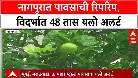 Weather Update: नागपूरसह विदर्भात 'Yellow Alert' जारी, परतीचा पाऊस पुढील 48 तास सक्रिय राहणार