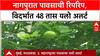Weather Update: नागपूरसह विदर्भात 'Yellow Alert' जारी, परतीचा पाऊस पुढील 48 तास सक्रिय राहणार