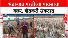Rain Fury: 'डोळ्यादेखत पीक गेलं', Bhandara मध्ये परतीच्या पावसाने भात शेतकरी हवालदिल