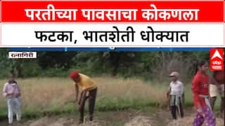 Unseasonal Rains: 'हाता-तोंडाशी आलेला घास हिरावला', Konkan मध्ये परतीच्या पावसाने शेतकरी हवालदिल