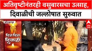 Diwali Begins: मराठवाड्यात अतिवृष्टी, तरीही शेतकऱ्यांचा उत्साह कायम, Vasubaras जल्लोषात!