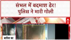 Breaking News: संभल में Police Encounter, 25,000 इनामी बदमाश घायल