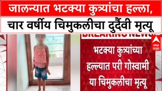 Stray Dog Menace: 'भटक्या कुत्र्यांनी छावा घेतला', Jalna पोलिसांचा प्राथमिक अंदाज; ४ वर्षीय Pari चा मृत्यू