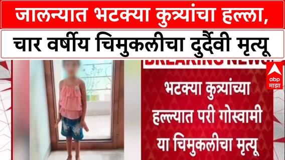 Stray Dog Menace: 'भटक्या कुत्र्यांनी छावा घेतला', Jalna पोलिसांचा प्राथमिक अंदाज; ४ वर्षीय Pari चा मृत्यू