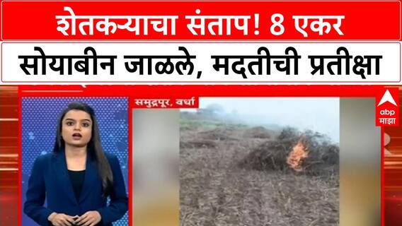 Wardh Soyabean : अतिवृ्ष्टीमुळे शेती सडली, आठ एकरवरील सोयाबीन शेतकऱ्याने जाळलं