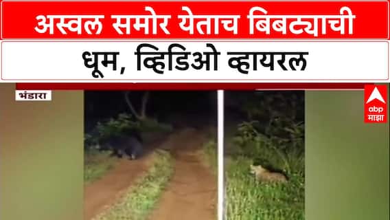 Viral Video: नवेगाव-नागझिरा व्याघ्र प्रकल्पात अस्वलाला पाहून बिबट्याची पळापळ, Video पर्यटकांच्या कॅमेऱ्यात कैद