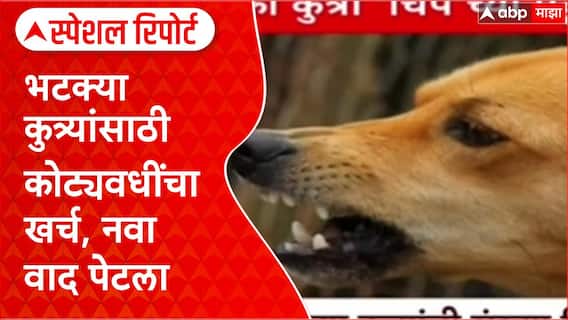 Special Report Pune Dog: हा भ्रष्टाचाराचा प्रकार, कंत्राटदारांच्या घशात 5 कोटी घालण्याचा घाट, पुणेकरांचा आरोप