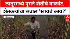 Latur Flood : 'खायचं काय?', Latur मध्ये Manjra नदीच्या पुराने 200 एकर शेतीचं वाळवंट!