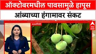 Alphonso Mango Season Delay | कोकणात आंबा बागायतदारांची चिंता वाढली, हंगाम लांबण्याची शक्यता