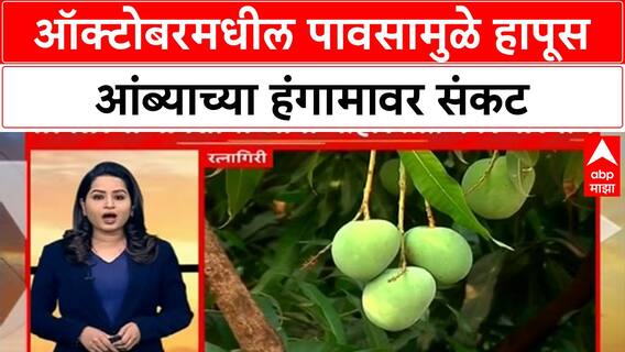 Alphonso Mango Season Delay | कोकणात आंबा बागायतदारांची चिंता वाढली, हंगाम लांबण्याची शक्यता