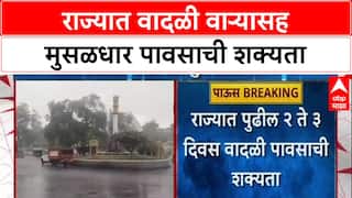 Weather Alert : राज्यात पुढील २-३ दिवस वादळी वाऱ्यासह मुसळधार पावसाची शक्यता, हवामान विभागाचा इशारा