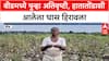 Maharashtra Rains: 'आधीची नुकसान भरपाई नाही, आता नवं संकट', Beed मध्ये शेतकरी हवालदिल
