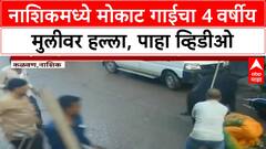Nashik Cow Attack : नाशिकमध्ये मोकाट गाईचा 4 वर्षीय मुलीवर हल्ला, पाहा व्हिडीओ ABP Majha