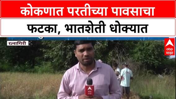 Maharashtra Rains: ‘हातातोंडाशी आलेला घास गेला’, Konkan मध्ये परतीच्या पावसाने शेतकऱ्यांचे गणित बिघडले