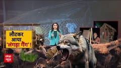 Wolf Attack: Bahraich में आदमखोर भेड़ियों का खौफ, 6 लोगों की जान गई!