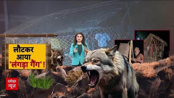 Wolf Attack: Bahraich में आदमखोर भेड़ियों का खौफ, 6 लोगों की जान गई!