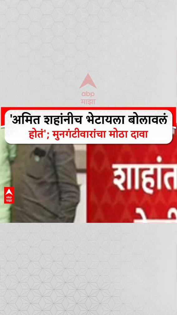 Sudhir Mungantiwar Meet Amit Shah :'अमित शहांनीच भेटायला बोलावलं होतं'; मुनगंटीवारांचा मोठा दावा