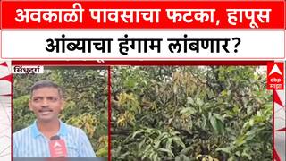 Crop Crisis: '...आंब्याचा सीझन दीड-दोन महिने लांबणार', व्यापाऱ्यांच्या दाव्याने Hapus प्रेमींची चिंता वाढली!