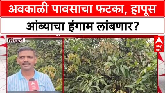 Crop Crisis: '...आंब्याचा सीझन दीड-दोन महिने लांबणार', व्यापाऱ्यांच्या दाव्याने Hapus प्रेमींची चिंता वाढली!