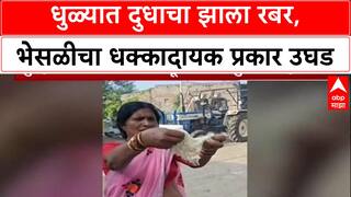 Food Safety Alert: 'दुधाचं झालं रबर!', Dhule मधील शिरपूर येथील धक्कादायक प्रकार, कारवाईची मागणी