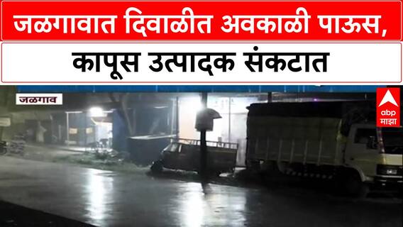 Unseasonal Rain: दिवाळीत जळगावमध्ये अवकाळी पाऊस, रब्बीला फायदा पण Cotton पिकाचं मोठं नुकसान?