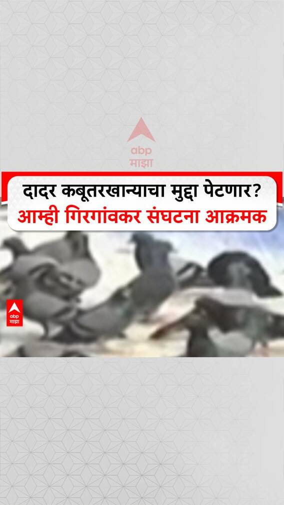 Pigeon Politics दादर कबूतरखान्याचा मुद्दा पेटणार?, कबूतर गो बॅक टू मारवाड राजस्थान पोस्टर्स व्हायरल