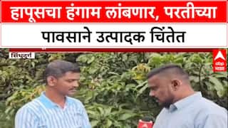 Climate Impact: 'आंब्याचा सीझन दीड-दोन महिने लांबणार', Konkan मधल्या उत्पादक शेतकऱ्यांची चिंता