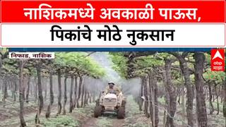 Nashik Rain Havoc: नाशिकमध्ये अवकाळीचा कहर, 'द्राक्ष फवारणीचा खर्च मोठा', शेतकरी चिंतेत