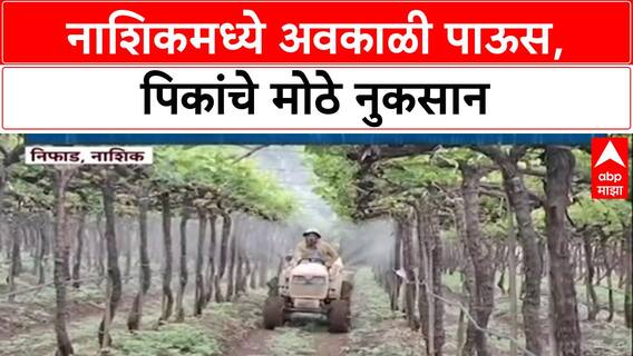 Nashik Rain Havoc: नाशिकमध्ये अवकाळीचा कहर, 'द्राक्ष फवारणीचा खर्च मोठा', शेतकरी चिंतेत